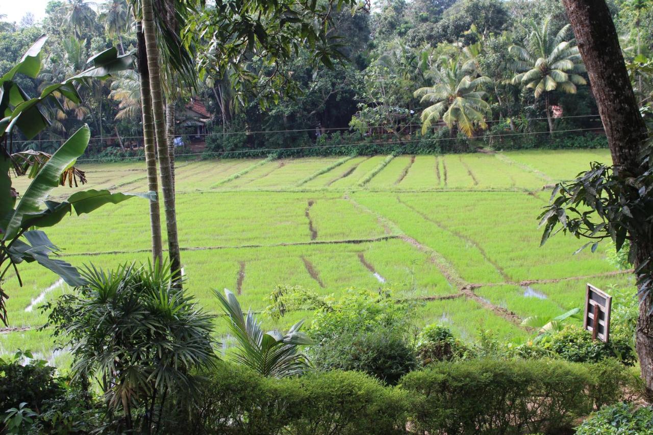 Paddy Field Villa Midigama Kelet Kültér fotó