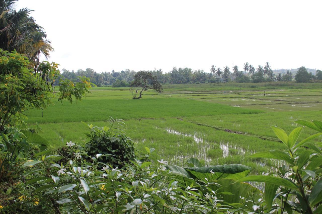 Paddy Field Villa Midigama Kelet Kültér fotó